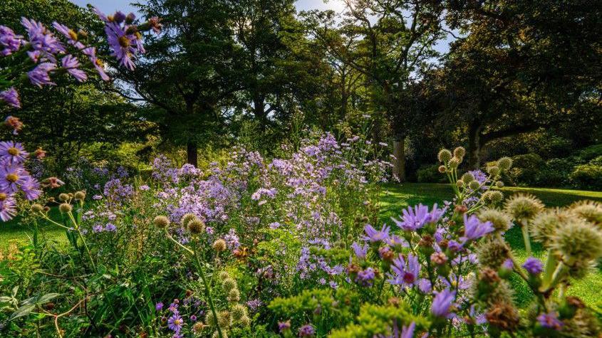 A close up image of purple, green and white flowers in a garden of lush green lawns and trees