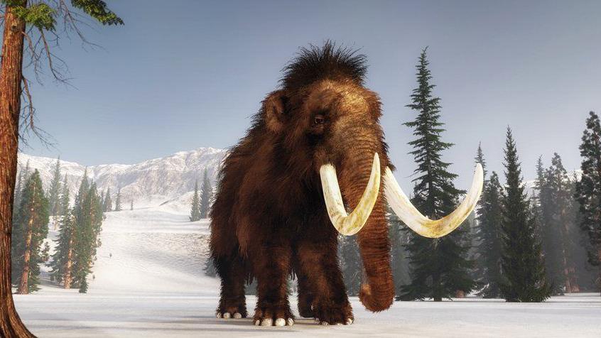 A computer generated image of a woolly mammoth walking through a snow covered forest

