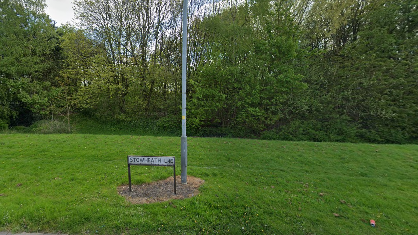 A strip of grass with trees behind it. There is a long grey pole and next to it is a street sign saying STOWHEATH LNE