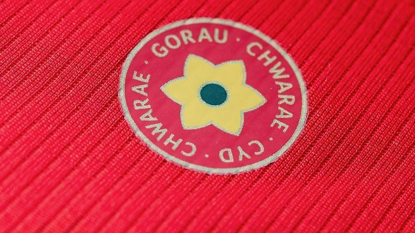 The Gorau Chwarae Cyd Chwarae motto 