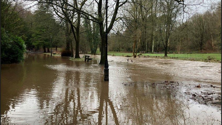 Brown muddy floodwater on an area of parkland