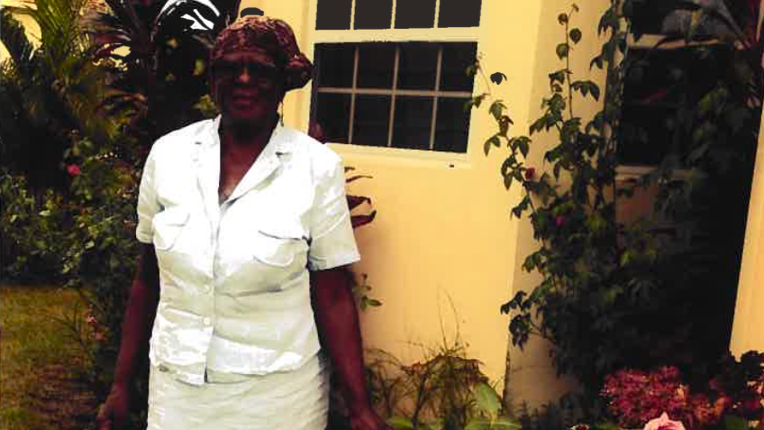 Mervis Stanley is wearing a white cotton dress suit and standing next to a bush of pink roses.