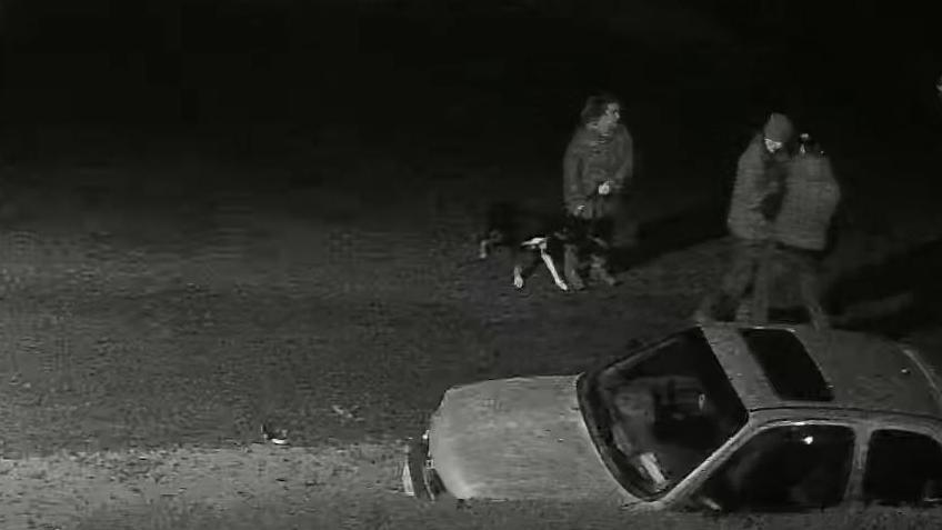 Black and white CCTV footage of a man helping another man stand up while a woman with a dog watches on. There is a a car in the road.