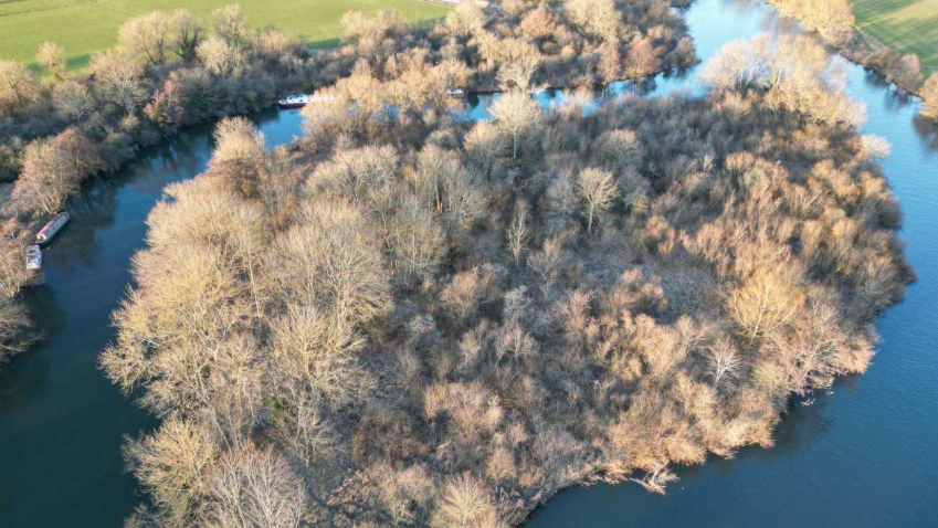 A picture taken on a drone of the wooded island, with woodland and farmland visible in the background.