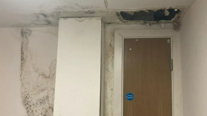 Image shows a hallway in one of the blocks of flats. There is water damage and mould on one of the walls, and a missing ceiling tile that has fallen down through water damage. 