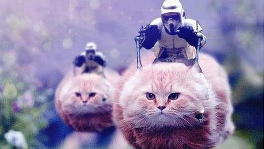 Jayce le Satirique tweets: BREAKING NEWS : Belgium Police using the new 200mph Hovercat during terrorist operations #BrusselsLockdown