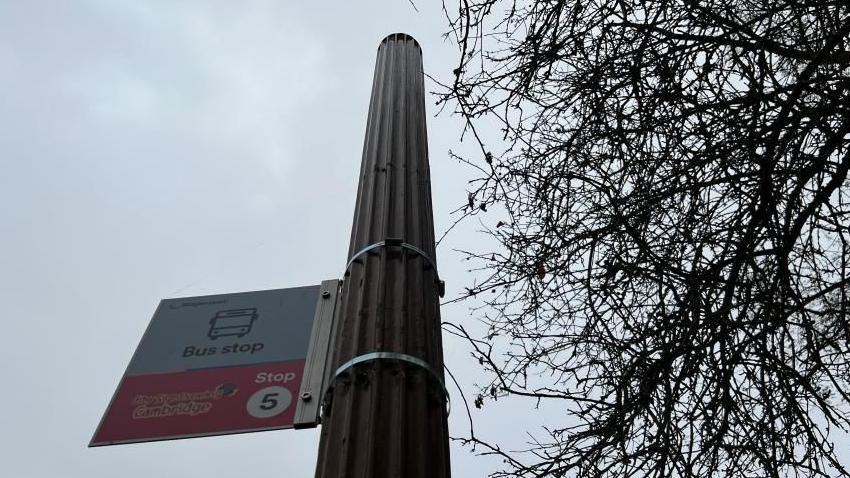 A lamppost with a bus stop sign attached to it. The light at the top of the post is missing