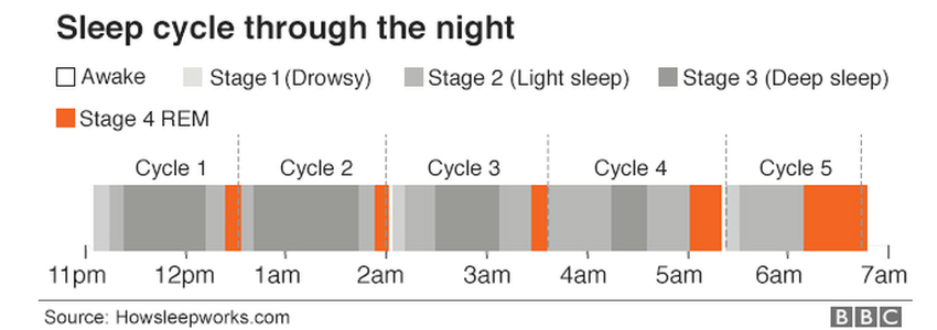 sleep cycle through the night from awake to drowsy to light sleep, deep sleep, REM sleep and back