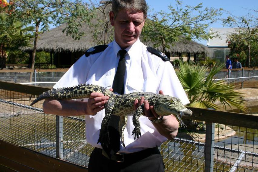 Scottish SPCA's Mike Flynn with a rescued alligator