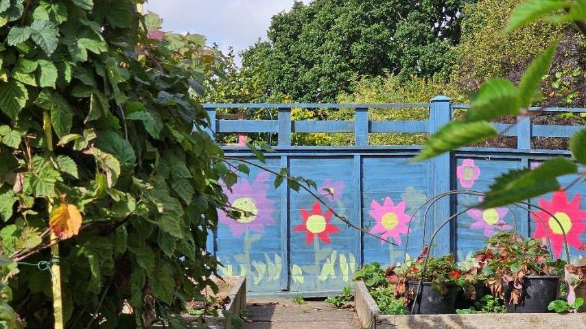 An allotment with green bushes to the left and a fence which is painted blue with brightly-coloured flowers on.  