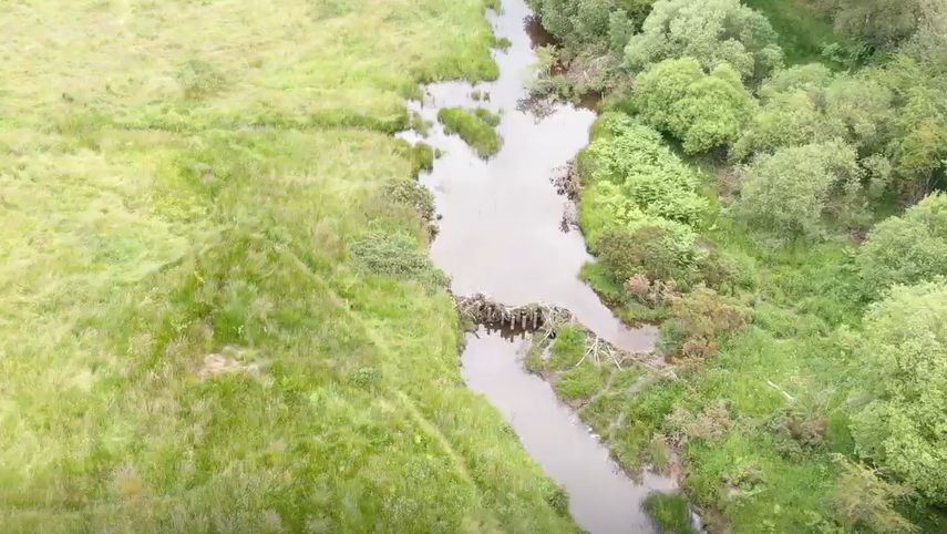 An aerial view of dams 