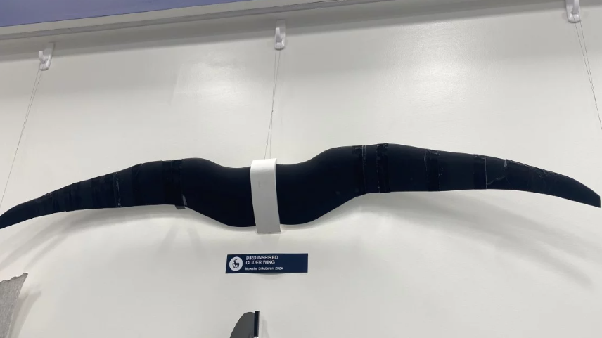 A bird inspired glider wing at the University of Surrey.
