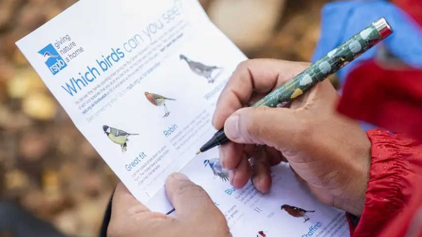 Bird watching sheet and hand with pen 