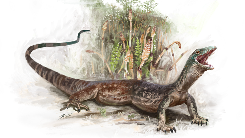 Breugnathair Elgolensis
