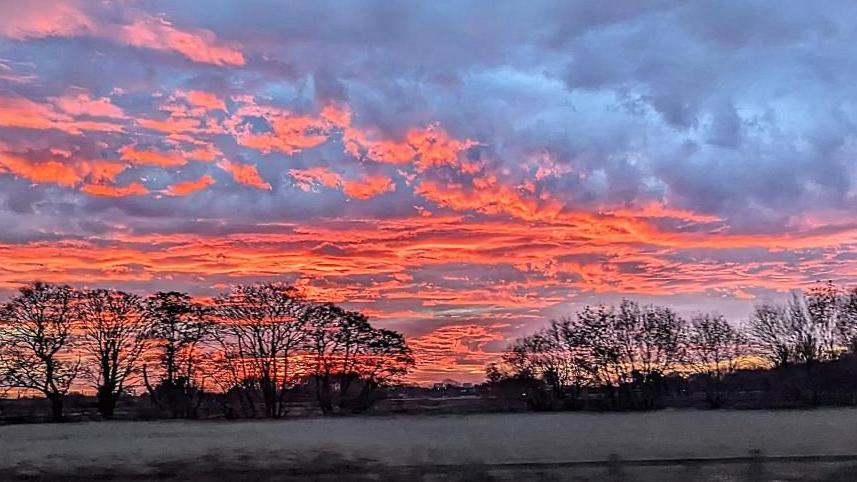 Strange cloud formation and bright orange sky over trees in a field 