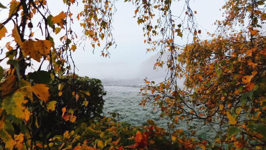 Autumn leaves frame the image as they hang off a tree with a peep hole in-between showing a misty and frosty field.