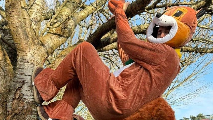 Dressed in a red squirrel costume a staff member climbs a tree on the Highlands College Campus.