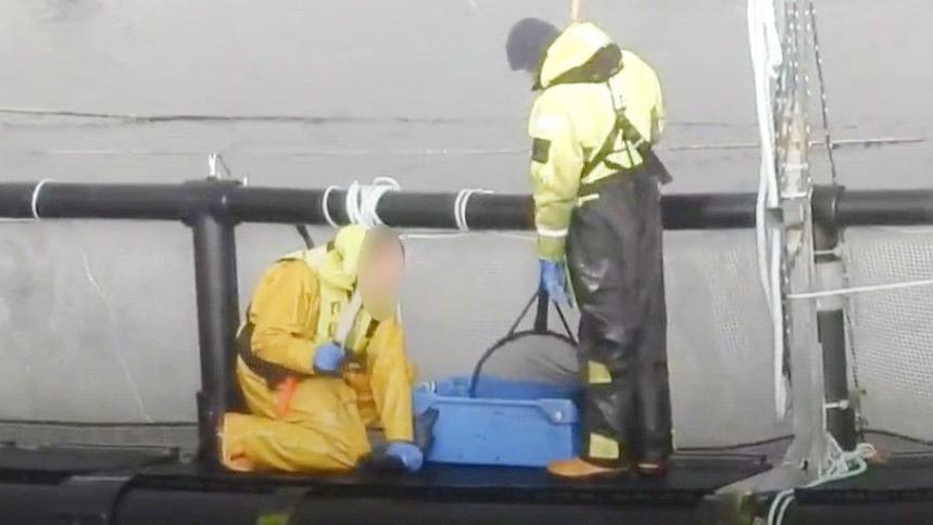 Two men in fluorescent safety gear stand on a platform at a fishing farm. One man on his knees swings a baton towards a fish he has pinned to the ground.