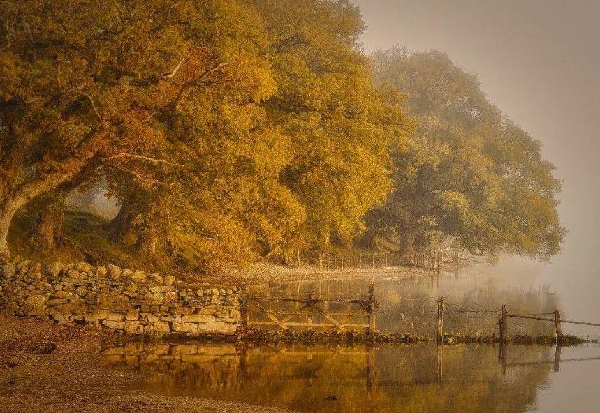 A photograph of Coniston in the Lake District showing trees on the left with yellow leaves next to some water, with a dry stone wall and fence at the front