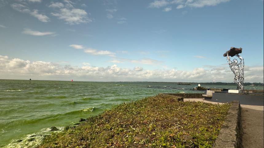 Blue-green algae at Rea's Wood along the shore of Lough Neagh. To the right of the picture is a silver statue of a person holding something above their head