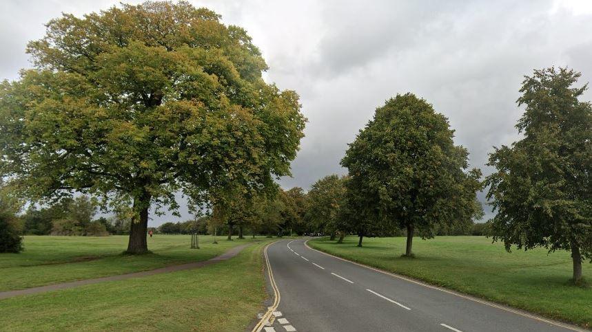 A screenshot from Google Street View of Ladies Mile Road in Clifton. The image shows an empty road with green grass and green trees on either side of it.