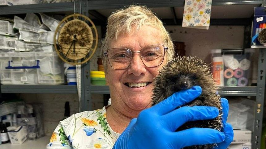 A woman with short, blonde hair is wearing a floral dress and holding, in blue gloved hands, a hedgehog towards the camera lens.