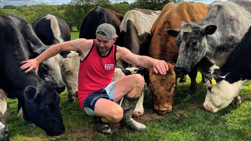 Ioan Humphreys and his cows 