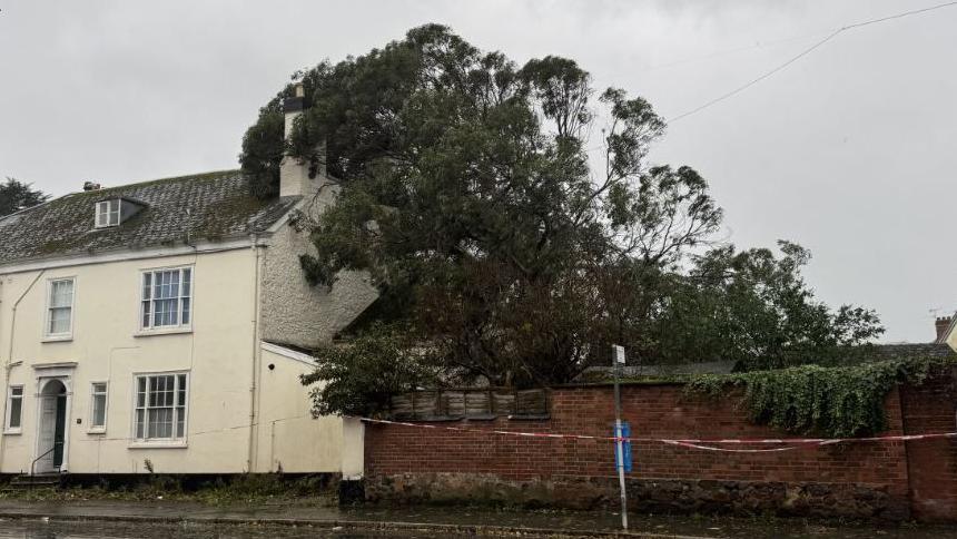 Tree fallen onto a house. Three is resting on the trees roof after falling.