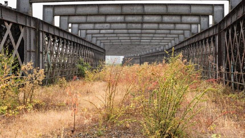 Proposed site of Manchester sky park - a disused rail viaduct with overgrown plants