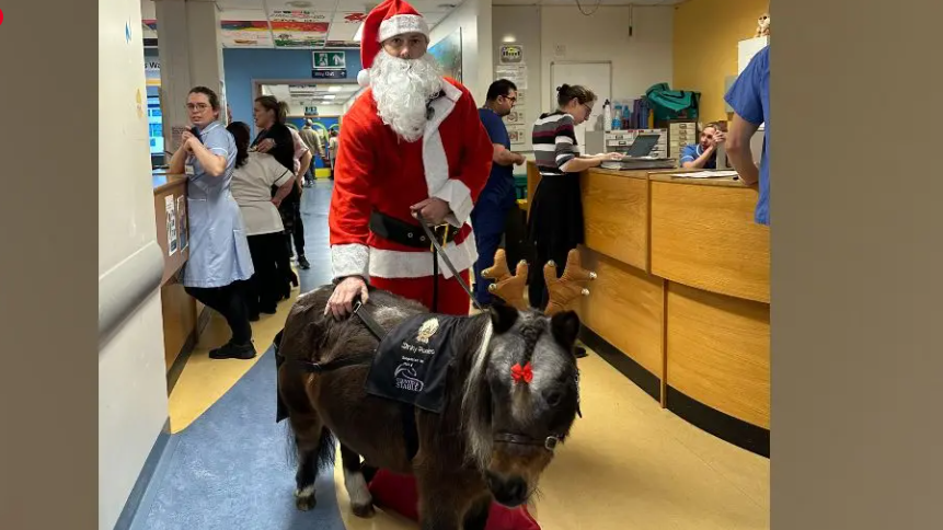 A hospital ward with the miniature pony in the foreground wearing toy reindeer antlers and Sam dressed as Santa behind. In the background there are doctors and nurses standing at work stations.