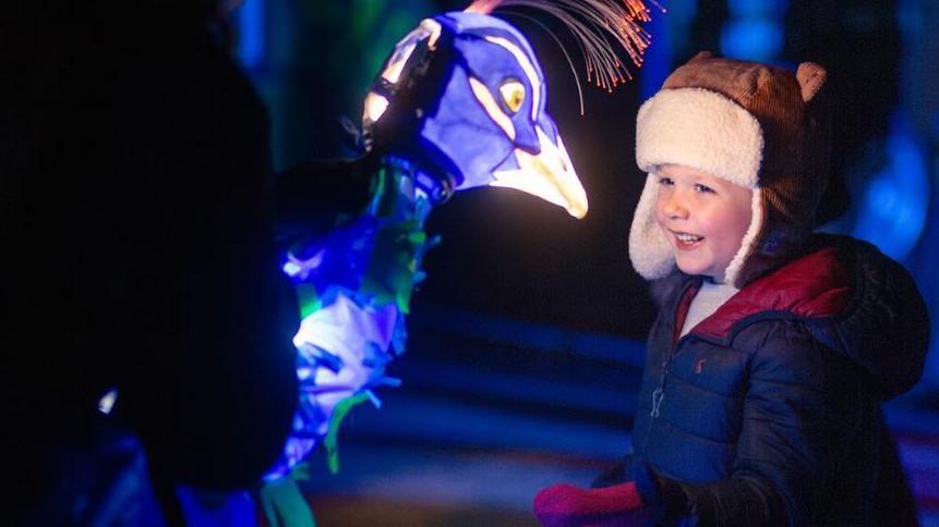 A young boy in a winter hat smiles at a light installation of a blue bird on a lights trail at Chester Zoo.