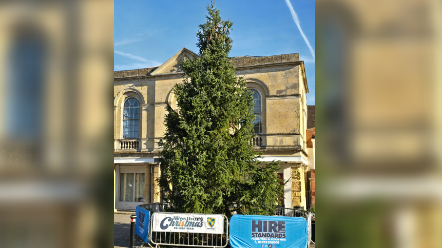 A large Christmas tree with barriers round it in front of of three-storey Georgian-style building.