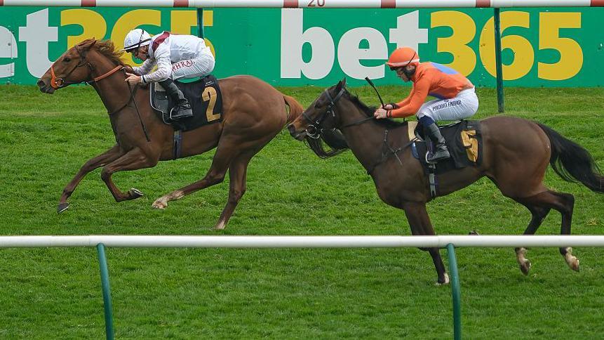 Harry's Girl (left) won her first race at Newmarket in April