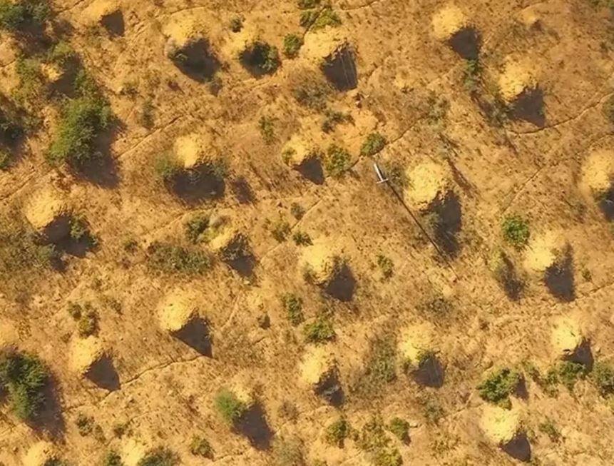 A birds eye view of termite mounds