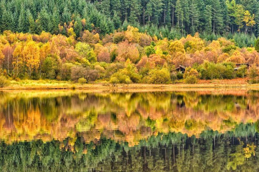 Yellow, brown and green autumn tree leaves, also reflected in a loch.