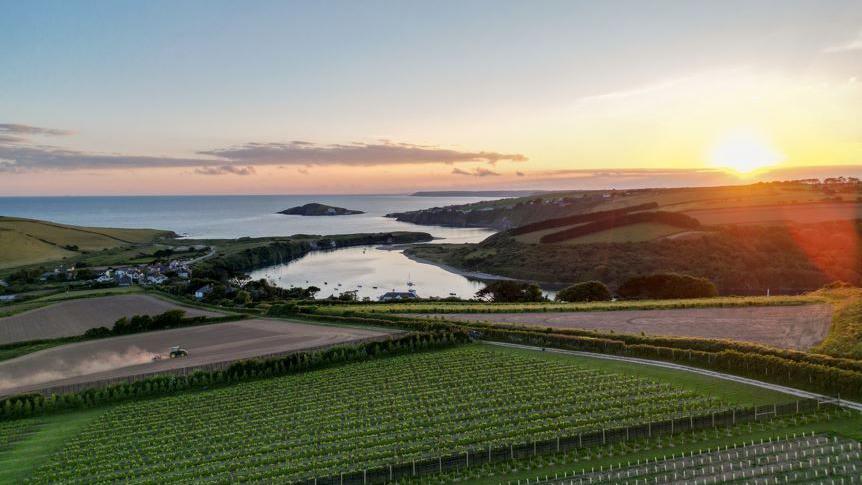 A view of crops in the foreground looking out towards a coastline with the curved mouth of the River Avon joining the coast. There is a small island off the coast and a sunset in the background.