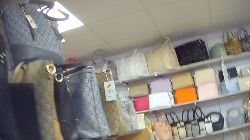 Handbags in a variation of colours on displays on top of shelves inside a shop
