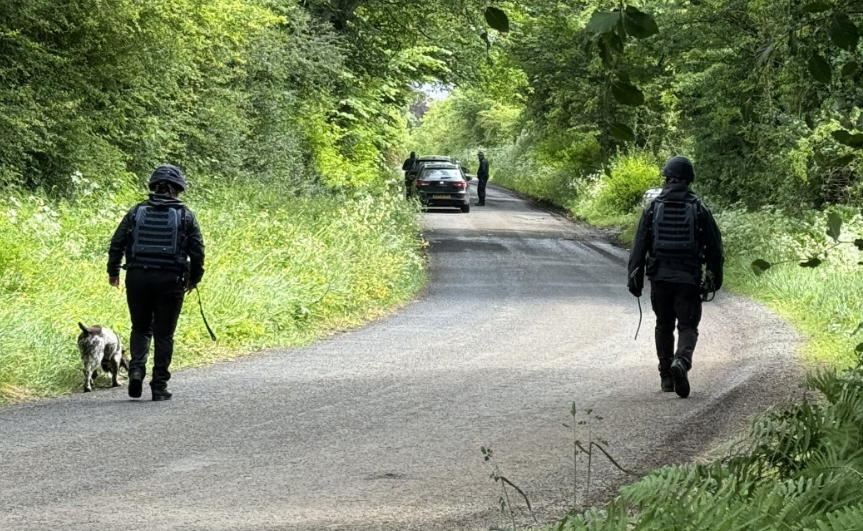 search dog on site 