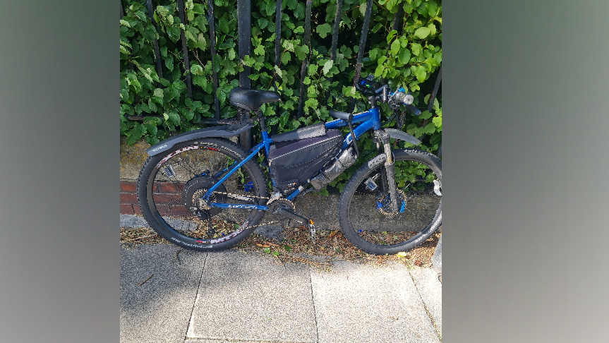 A black and blue bike leans against black metal railings on a path, bushes are poking through the railings.