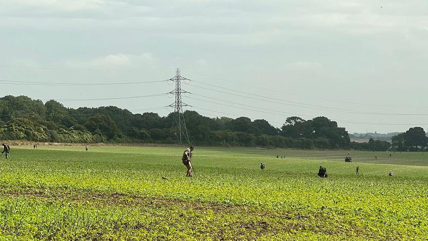 A huge green field with metal detectorists scattered all over