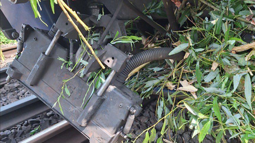 Part of a train dangling off the bottom of the vehicle. It is jammed with tree leaves and branches.