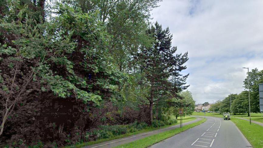 Looking down the Akers Way road - a thicket of trees on the left, with grass verges and a footpath on the opposite side, with streetlights