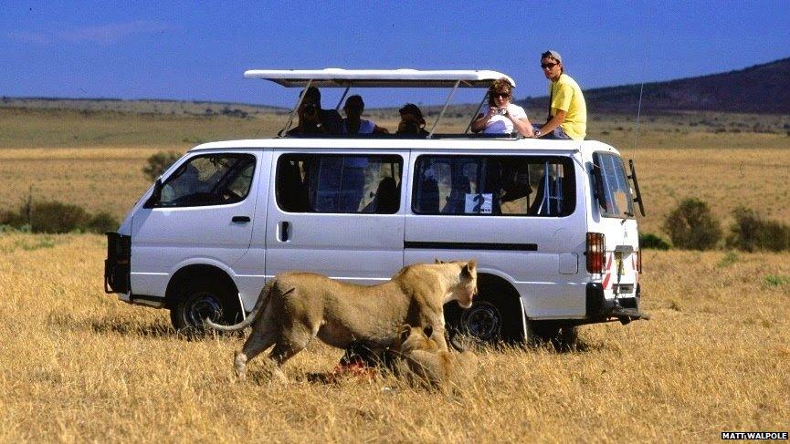 Visitors in Maasai Mara National Reserve, Kenya