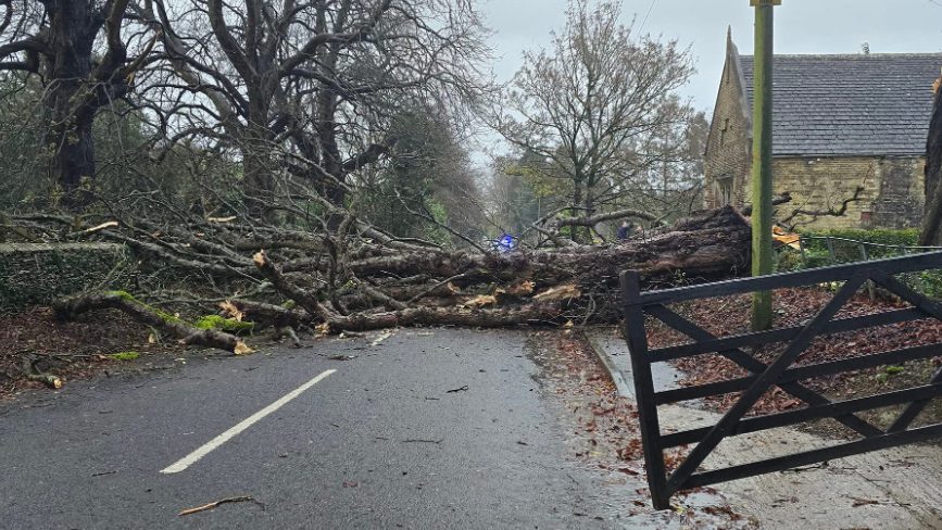 A large tree across the carriageway. A gate is also flung open to the right of the picture.