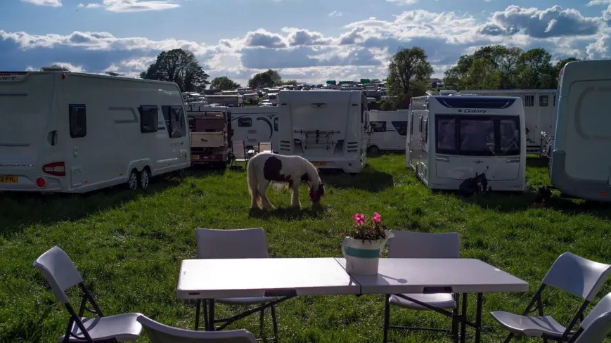 A horse is eating grass in front of caravans and a black table and chairs with pink flowers in a pot.