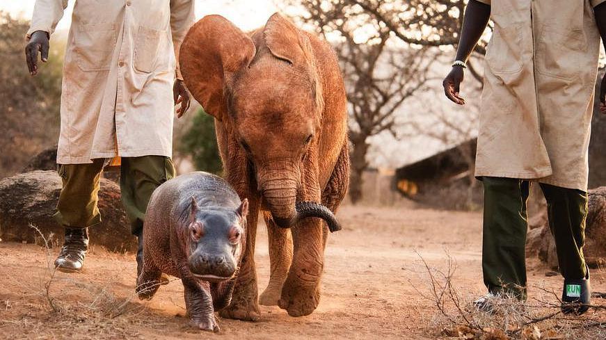Bumpy and Wangalla having fun