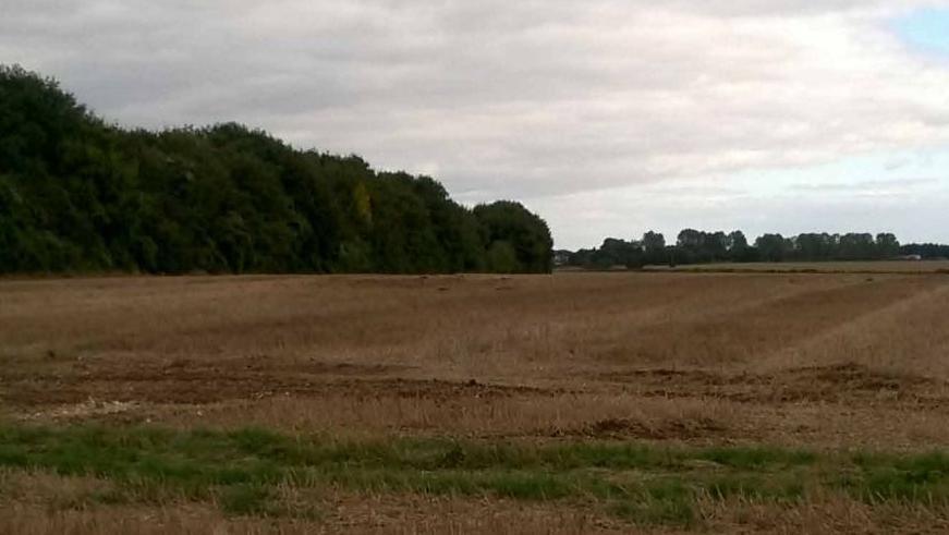 grey skies, trees down the left and in the distance, farmland in the foreground