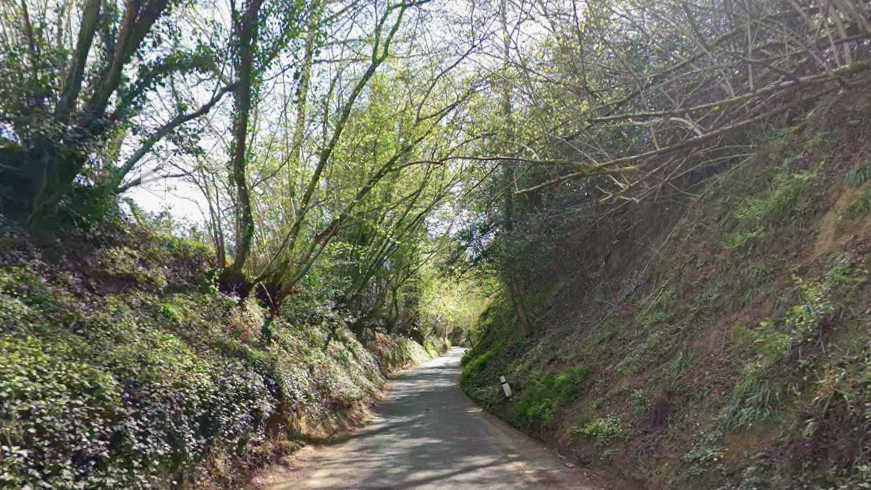 A winding country lane lined with trees.
