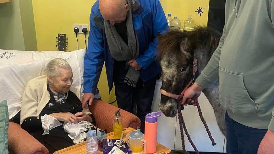 Jean Halls sits in an armchair while a man stands next to her and looks down. Whizz the pony stands nearby with a handler holding on to his head collar. 