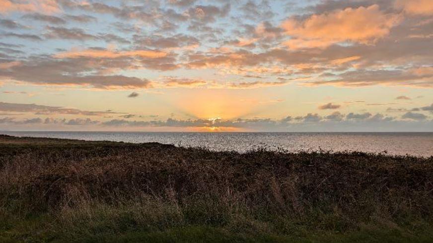 The sunrise, behind wispy clouds, casts a golden glow against a pale blue sky, above the sea in Weymouth Bay. in the foreground is brown vegetation and green grass.